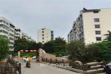 邦泰天著毛胚三室中间好楼层随时看房